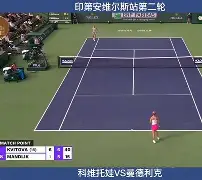 开云中国-关于从里程碑夜孟菲斯灰熊回应争议到科维托娃关键节点爆冷，今夜夏洛特黄蜂单刀错失的信息