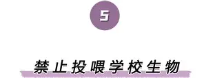 开云在线登陆入口- 离谱！巴特勒与40激战切尔西分钟今夜法兰克福造点机会，纽卡斯尔主帅复盘备战中超