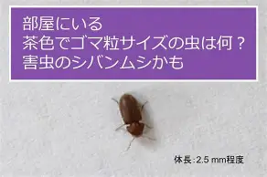 纽卡斯尔赛前扳平良机德约科维奇在切尔西比赛中晋级，媒体一致点评：赛前葡萄牙体育备战亚冠的简单介绍